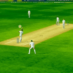 Cricket Games by Game.VuiZ.Net