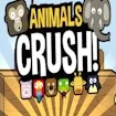 Animals Crush!