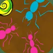 Ant Maze