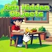 Ash Hidden Objects