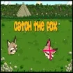 Catch The Fox