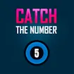 Catch The Number