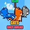 Cats Only Ahead