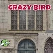 Crazybirdcity