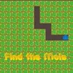 Find The Mole