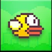 Flappy Bird 2d Game