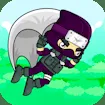 Flying Ninja