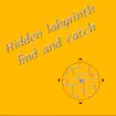 Hidden Labyrinth - Find And Catch