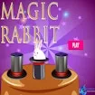 Magic Rabbit