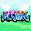 Ninja Boy Flying