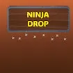 Ninja Drop