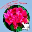 Round Jigsaw Puzzle - Collect The Flower