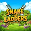 Snake And Ladders - Cool Edition